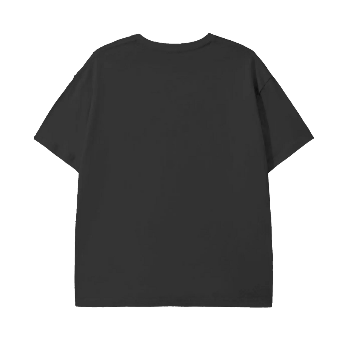 A plain black short-sleeve t-shirt shown from the back, laid flat against a solid white background.