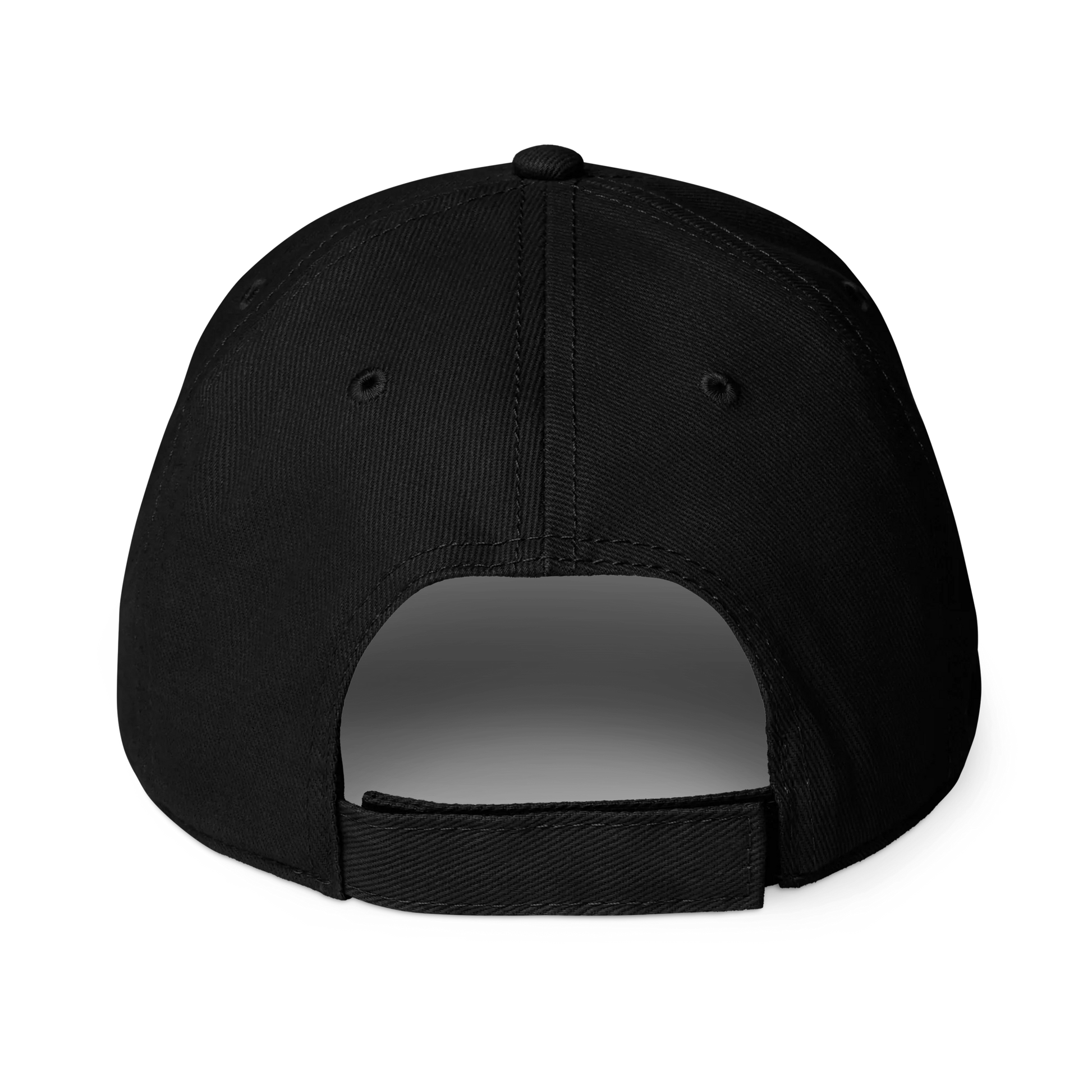 Black baseball cap shown from the back, featuring a curved snapback strap and ventilation eyelets, isolated on a white background.
