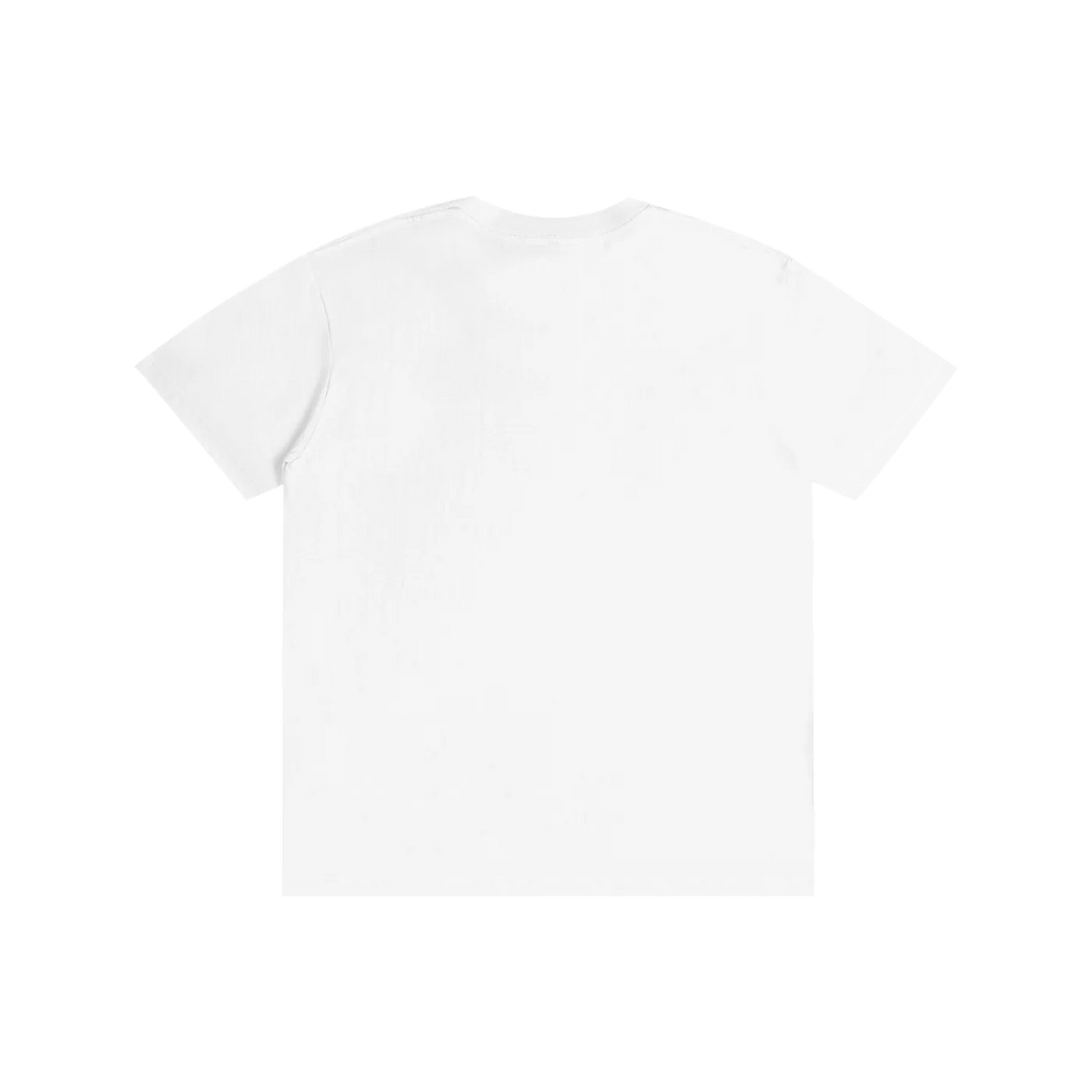 A plain white short-sleeve crewneck t-shirt shown from the back, laid flat against a solid white background.